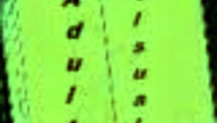 my real desire 84 in hentai game anime indian style