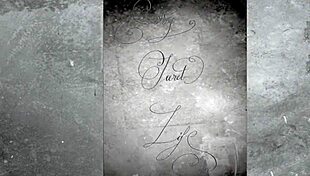 I explore the wonderful world of vintage pornography threesomes with hairy beavers