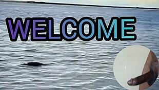 Sweet Sensation Season 001 Full Videos On Xvideos Red!