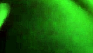 Iceberggslim Gettin It In 2