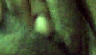 Want To See Me Play With My Pussy?