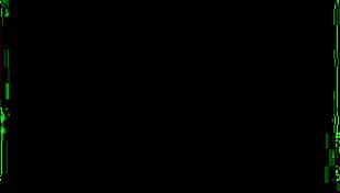 Bunny Madison Provides Tailored House Calls