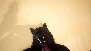 Point of view of two gay wolves intensely fucking with big asses and cum in wildlife setting.