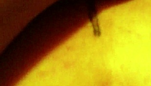 Dragon Fly & Sexaddic In Public Outdoor Scene