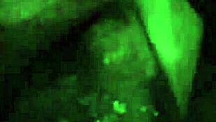 can you handle this mouthful cumshot?