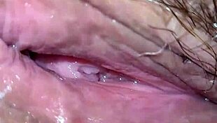 stallion's pounding my tight asshole