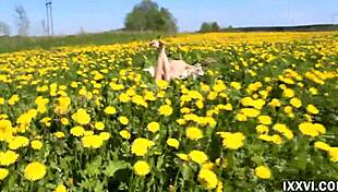 casual blowjob from a stranger girl and cum in mouth vira gold with ananta shakti