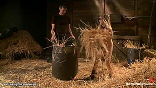 Bound blond gets anal fucked hard 😈