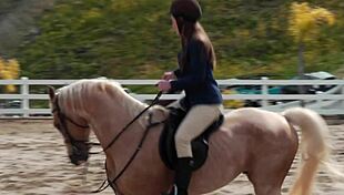 ally evans and dani daniels indulge in lesbian face sitting in the horse stable