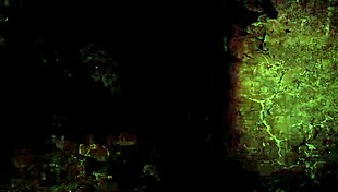 Vintage swing sixties threesome gets wild, ya know? 😜