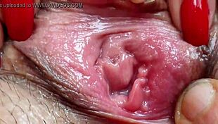 Bruno Fucks Milf On Highway Car