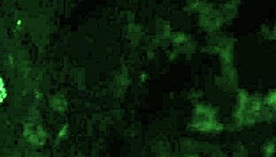 My Wife's Juicy Ass In Homemade Video