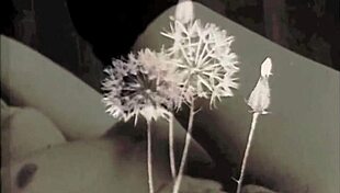 Vintage British Interracial Taboo in Antique Setting