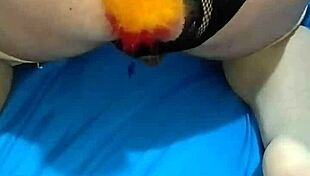 Pamelitha In Crossdressing Transsexual Adventure With Intriguing Twists