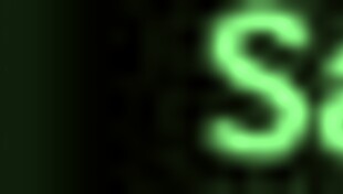 the adventurous couple 14