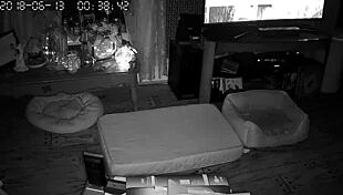 i love watching my wife sucking and giving blowjobs