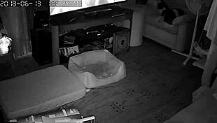 i love watching my wife sucking and giving blowjobs