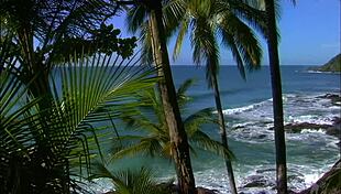 Viviane Araujo, the African Brazilian brunette, flaunts her ass in ultra HD.