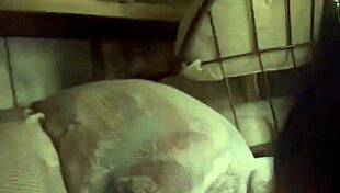 youtube star mchenry cruiser sucks and licks cock like a porn jesus.