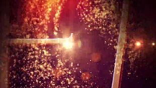 Tiny Blonde Jesse Daltan Gets Pink Pussy Fucked By Hard Cock