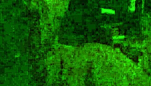 franckydee sucking dildo before taking it in mouth 😏