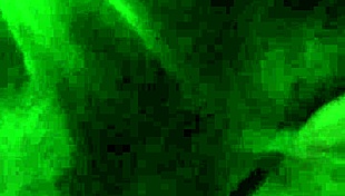 blonde in glasses at airport with monster black cock