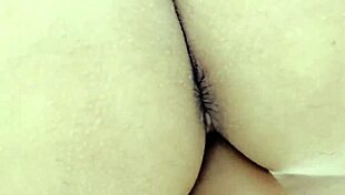 the brunette brazilian housewife meets her black lover for an interracial creampie after a slutty blowjob