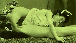 my secret life during the battle of solferino