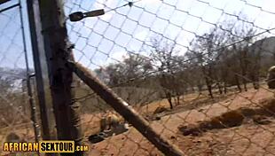 Joining a Safari with an Amateur African Girl Turns into a Hot Home Encounter