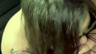 Update 9 Image 6497 November 24 2023