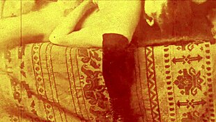 my secret life during the battle of solferino