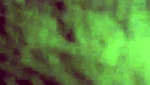 i made this homemade sextape wit my big ass babe