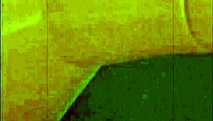 Vintage Moorish Harem Evening