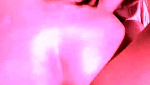 melissa albuquerque meets mma fighter allan guerra gomes