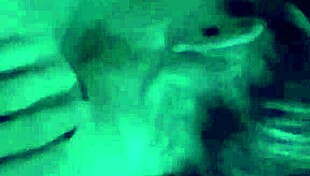 i try to wake up my wife lets see what happens