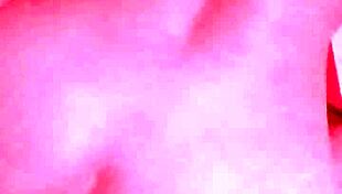 melissa albuquerque meets mma fighter allan guerra gomes