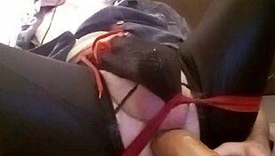 Thomas Odea enjoys big cocks.