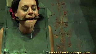 pornstar explores sadomasochism in intense session