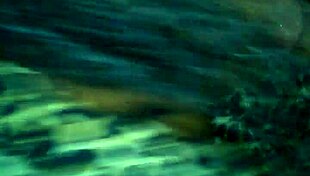 Mature ebony milf gives sloppy blowjob to monster bbc