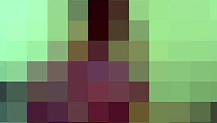 Do you want these two dildos in your tight holes?