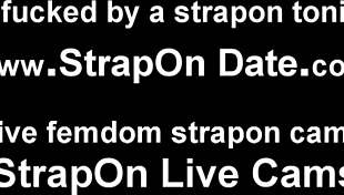i'm gonna pound your ass with my strapon so hard