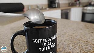 Nina North Busty Roommate POV Fuck