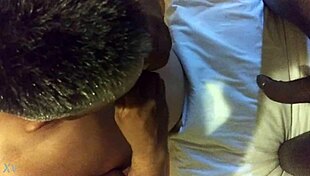 Sucking on Black Shemale's Big Cock