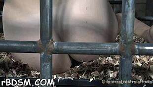 Lovable Brunette Babe Slowly Strips Naked for BDSM Play