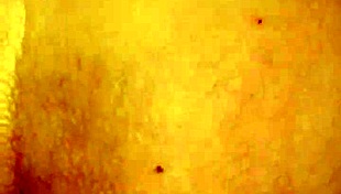 Husband and Wife Homemade Intimacy