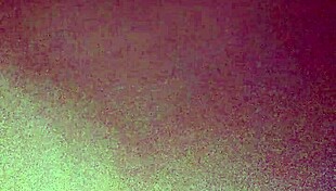 Chubby girl, wanna fuck for some 420 smoke, skante d style?