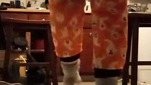 homemade amateurs share their fetish compilation in a casual pov style