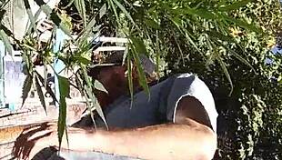 i'm hot suckin' and fuckin' in the 420 patch, he says