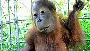 i think peronismo is simply lacras, you know?