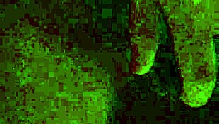 my wife cums hard on dildo